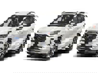 New 2025 Ford Escape ST-Line Elite