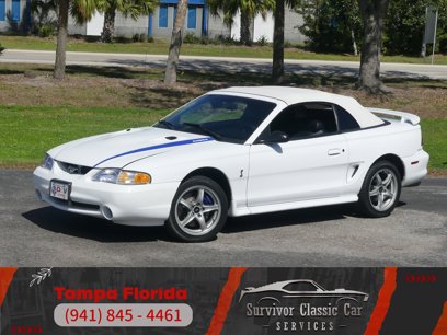Used 1997 Ford Mustang Cobra