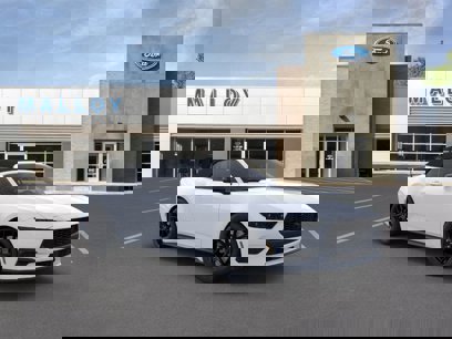 New 2025 Ford Mustang Convertible w/ Mustang Nite Pony Package