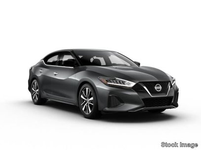 Used 2023 Nissan Maxima SV w/ Floor Mat Group