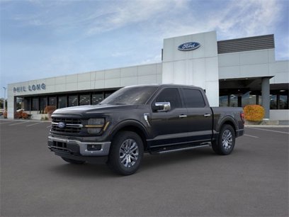 New 2024 Ford F150 XLT w/ Equipment Group 303A High