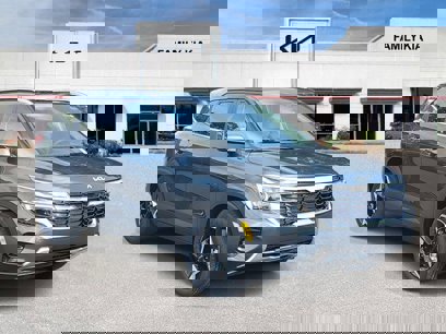 New 2025 Kia Seltos EX