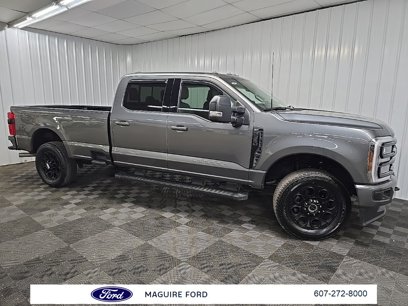 Used 2024 Ford F250 XLT w/ Black Appearance Package