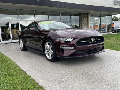 Used 2018 Ford Mustang Premium w/ Pony Package