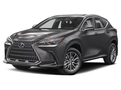 New 2025 Lexus NX 350h AWD w/ Premium Package