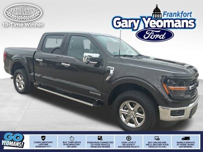 Used 2024 Ford F150 XLT w/ Equipment Group 302A MID