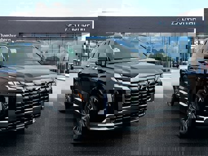 New 2025 Hyundai Palisade Calligraphy