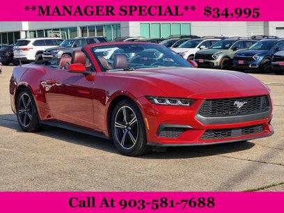 Used 2024 Ford Mustang Premium
