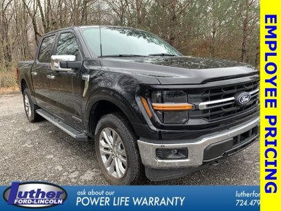 New 2024 Ford F150 XLT w/ Equipment Group 303A High