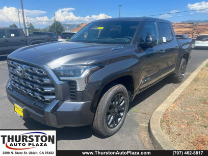 New 2025 Toyota Tundra Platinum