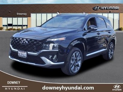 Certified 2023 Hyundai Santa Fe Calligraphy