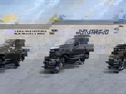 New 2025 Ford F150 XLT w/ Equipment Group 302A MID