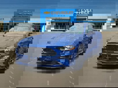 Used 2022 Ford Mustang Coupe w/ Equipment Group 101A