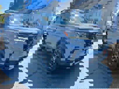 New 2025 Honda Pilot TrailSport