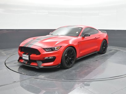 Used 2019 Ford Mustang Shelby GT350 w/ Technology Package