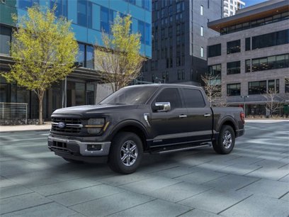 New 2024 Ford F150 XLT w/ Equipment Group 302A MID