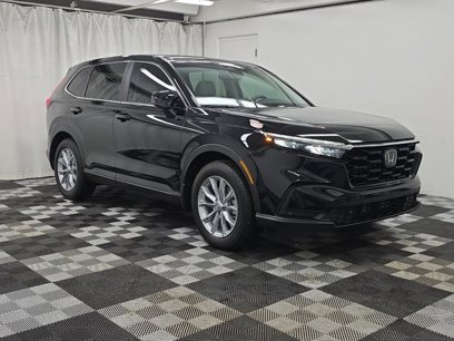 Certified 2025 Honda CR-V EX-L