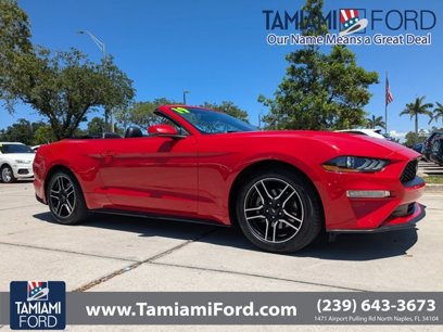 Used 2019 Ford Mustang Premium