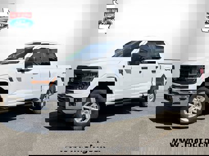 New 2025 Ford F150 XL