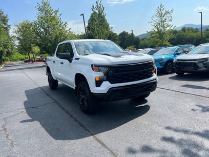 New 2025 Chevrolet Silverado 1500 Custom Trail Boss w/ Realtree Special Edition