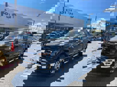 New 2024 Ford F150 XLT w/ Equipment Group 303A High