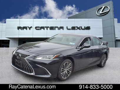 Certified 2024 Lexus ES 250 w/ Premium Package