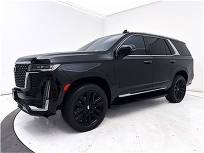 Used 2023 Cadillac Escalade Premium Luxury