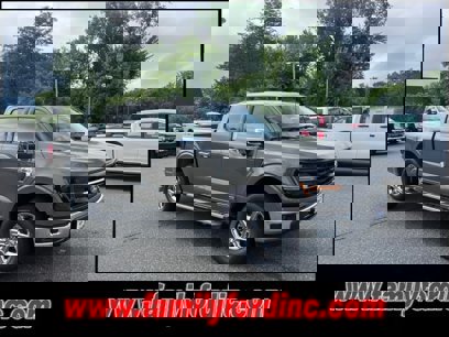 New 2025 Ford F150 XLT