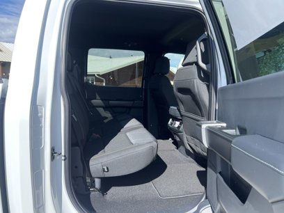 New 2024 Ford F150 STX