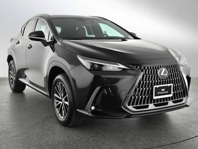 Used 2025 Lexus NX 250 FWD