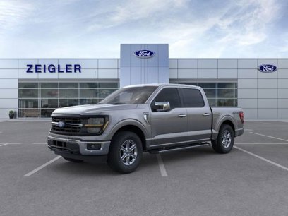 New 2024 Ford F150 XLT w/ Equipment Group 302A MID