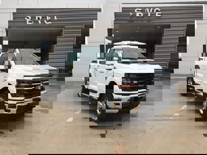 New 2024 Ford F150 XLT w/ Equipment Group 302A MID