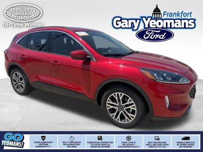 Used 2020 Ford Escape SEL