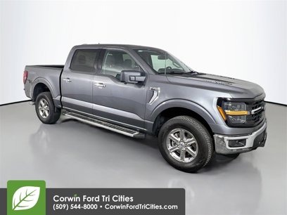 Certified 2024 Ford F150 XLT