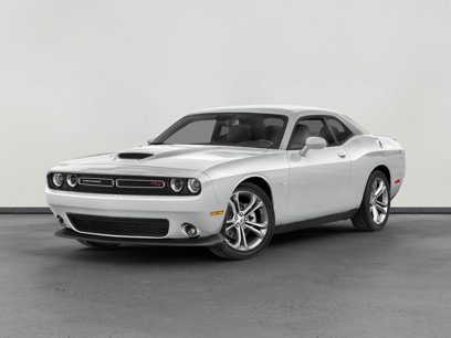 Used 2023 Dodge Challenger R/T w/ Blacktop Package