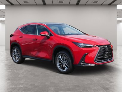 New 2025 Lexus NX 300h AWD w/ Luxury Package