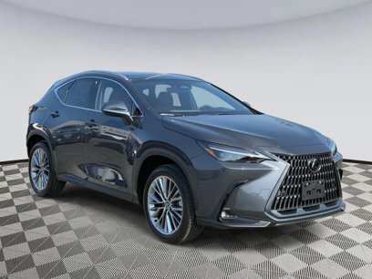 New 2025 Lexus NX 350 AWD w/ Luxury Package