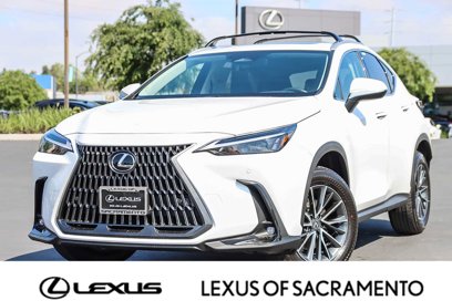 New 2025 Lexus NX 250 AWD w/ Premium Package