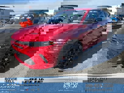New 2025 Dodge Hornet R/T