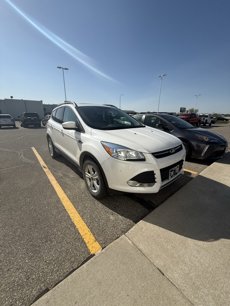 Used 2014 Ford Escape SE w/ Equipment Group 201A