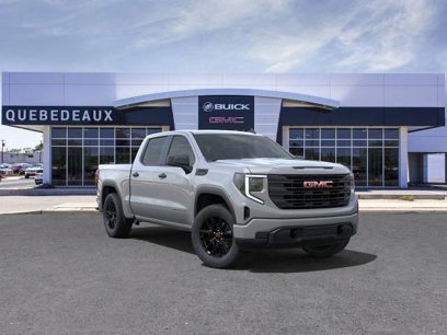 New 2025 GMC Sierra 1500 Pro w/ Graphite Edition
