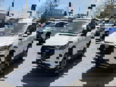 New 2025 Ford Escape ST-Line w/ Tech Pack #1