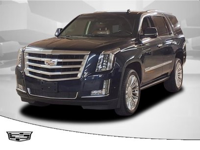 Used 2019 Cadillac Escalade Premium Luxury