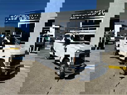 New 2024 Ford F250 XL w/ XL Chrome Package