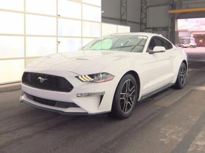 Used 2019 Ford Mustang Premium w/ Equipment Group 201A