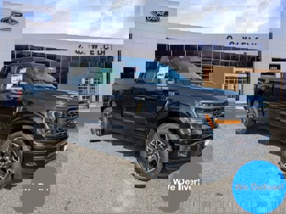 New 2024 Ford F150 STX