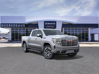 New 2025 GMC Sierra 1500 Denali w/ Denali Reserve Package