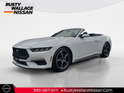 Used 2024 Ford Mustang Premium
