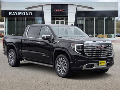 New 2025 GMC Sierra 1500 Denali w/ Denali Reserve Package