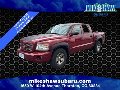 Used 2011 Dodge Dakota 4x4 Crew Cab